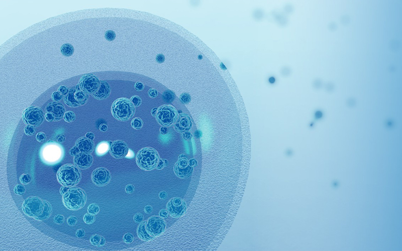 IFD Rapid Detection Solution